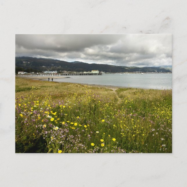 Carte Postale Baie de la demi-lune au printemps (Devant)
