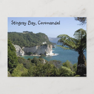Carte Postale Baie de Stingray, Coromandel