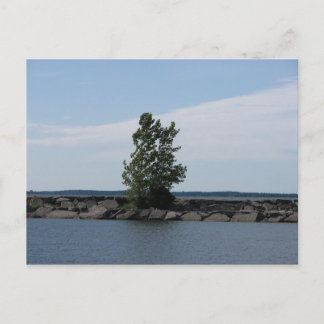 Carte Postale Baie de Westcott