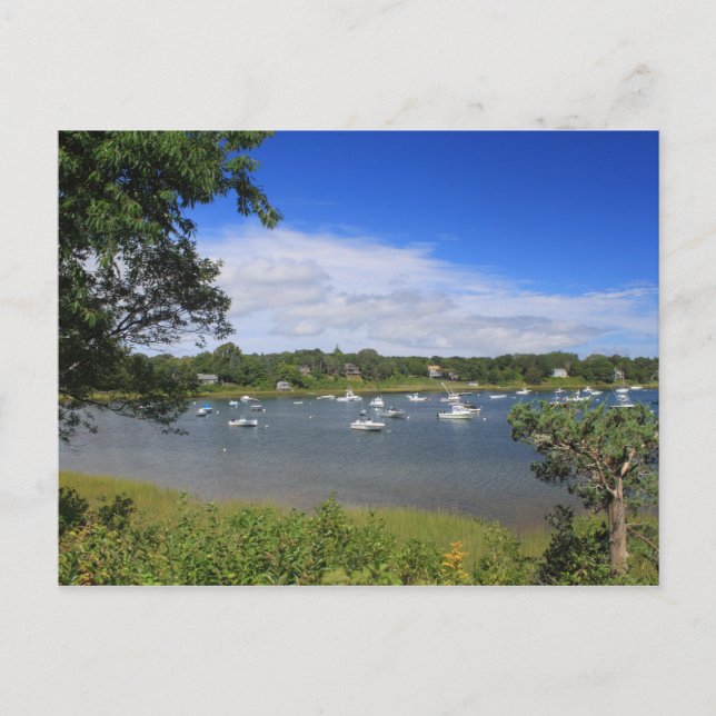 Carte Postale Baie Pleasant Orleans Cape Cod (Devant)