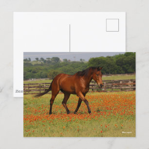 Carte Postale Baie Thoroughbred Horse Walking Flowers
