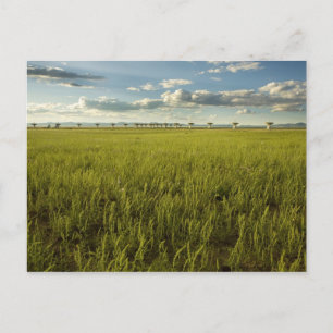 Carte Postale Baie très grande