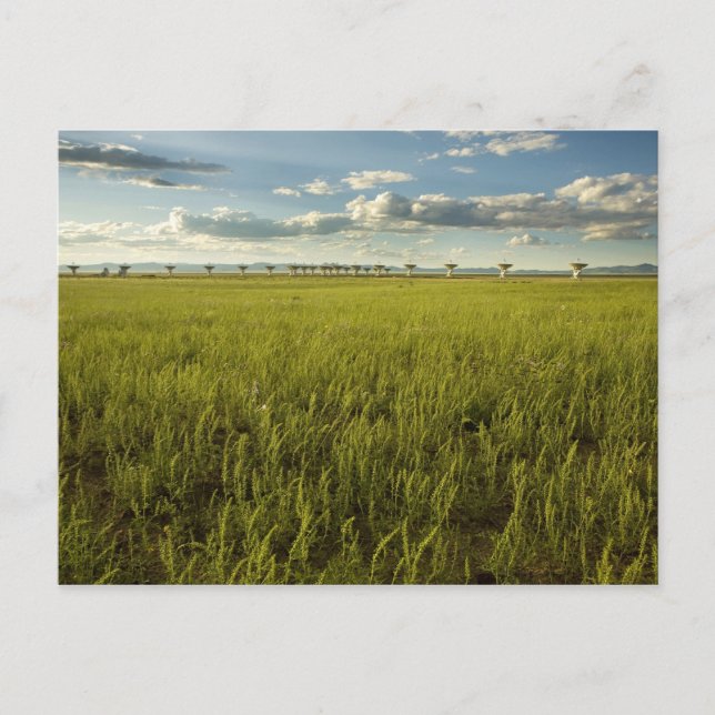 Carte Postale Baie très grande (Devant)