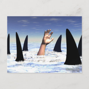 Carte Postale Baignade avec requins