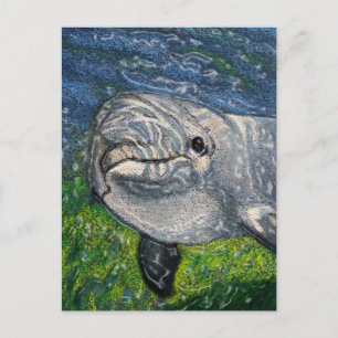 Carte Postale Baignade Dauphin Sous L'Eau : Lumière solaire appl