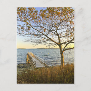 Carte Postale Baigné de lumière dorée