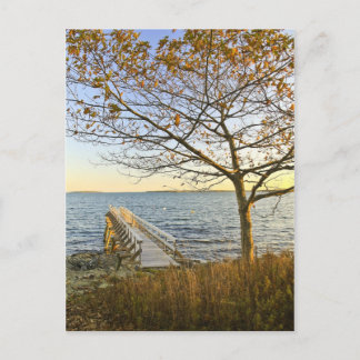 Carte Postale Baigné de lumière dorée