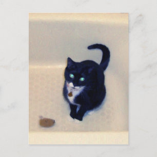 Carte Postale Baignoire Temps de lecture