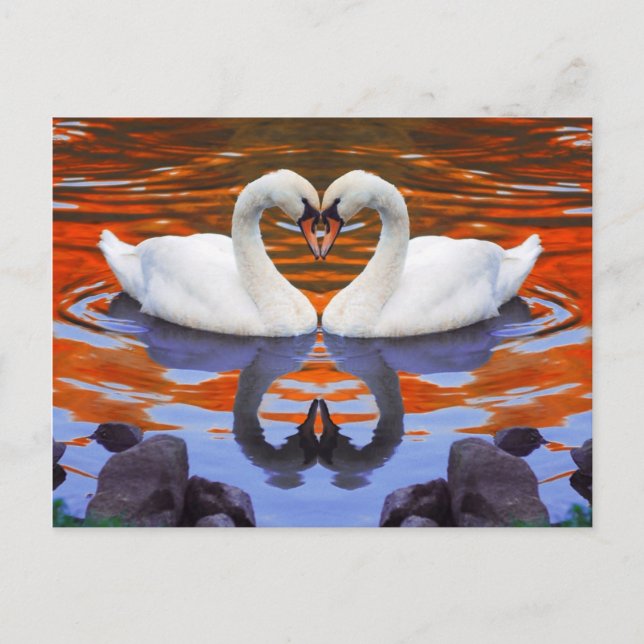 Carte Postale Baiser les cygnes dans l'amour, la forme du coeur  (Devant)