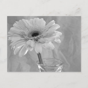 Carte Postale Baisy noir et blanc
