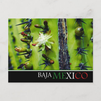 Carte postale Baja Mexico