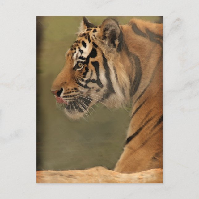 Carte Postale balai (Devant)