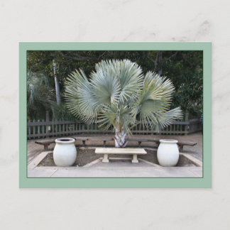 Carte Postale Balboa Park Scene rappelle la paroisse de Maxfield
