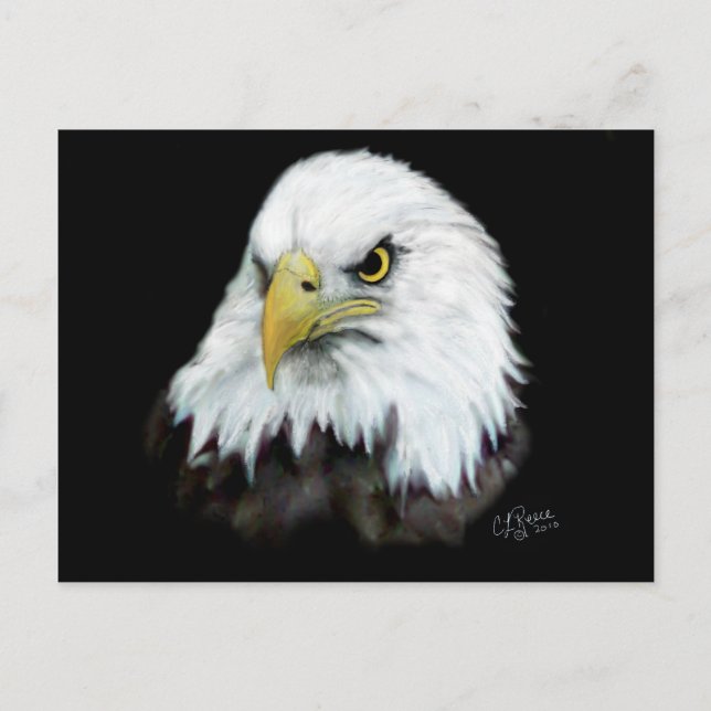 Carte postale Bald Eagle 2 (Devant)