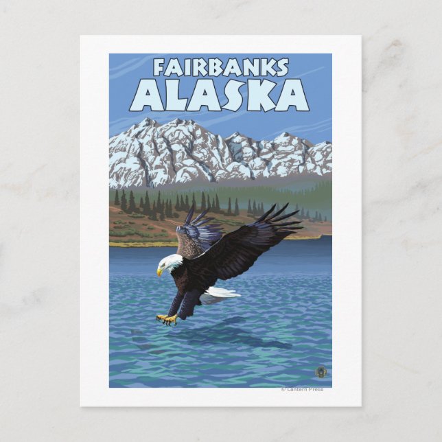 Carte Postale Bald Eagle Diving - Fairbanks, Alaska (Devant)