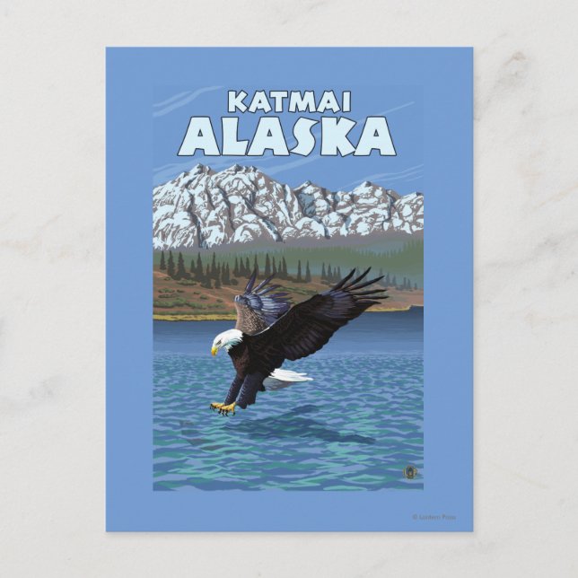 Carte Postale Bald Eagle Diving - Katmai, Alaska (Devant)