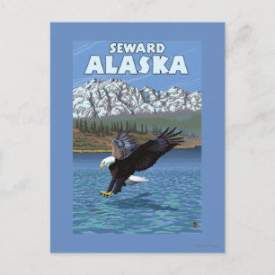 Carte Postale Bald Eagle Diving - Seward, Alaska