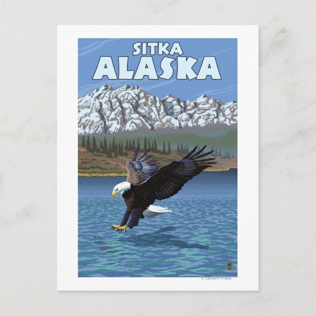 Carte Postale Bald Eagle Diving - Sitka, Alaska (Devant)