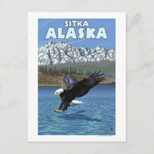 Carte Postale Bald Eagle Diving - Sitka, Alaska
