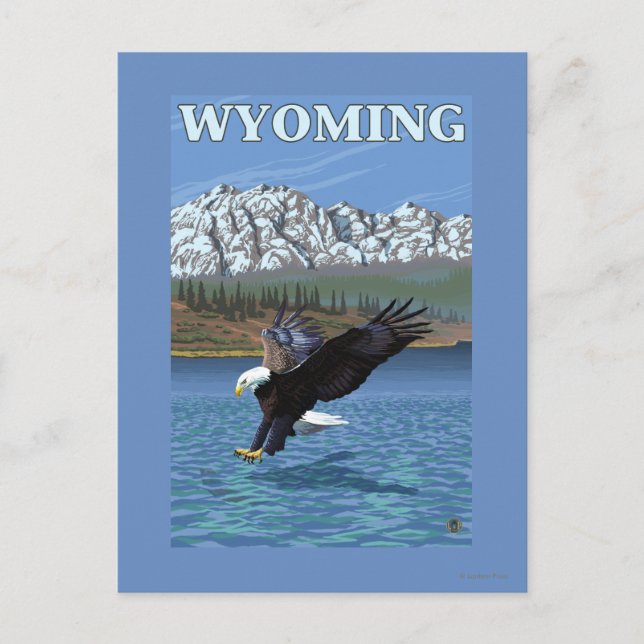 Carte Postale Bald Eagle Diving - Wyoming (Devant)