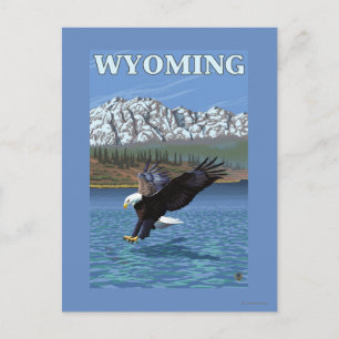 Carte Postale Bald Eagle Diving - Wyoming
