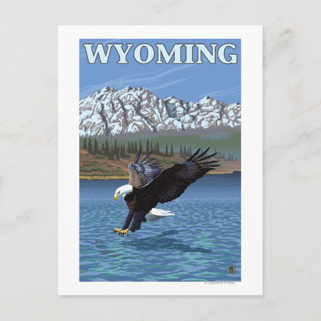 Carte Postale Bald Eagle Diving - Wyoming (Devant)