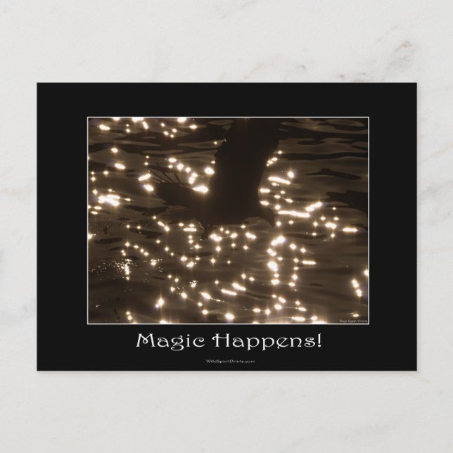 CARTE POSTALE BALD EAGLE & EAU SOLEIL (Devant)