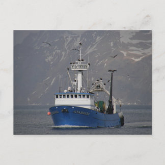 Carte Postale Bald Eagles Accueillir Starward Home