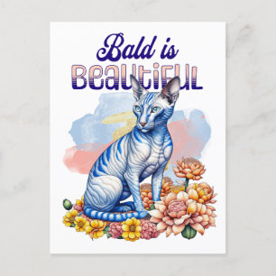 Carte Postale Bald est magnifique   Chat sans poil