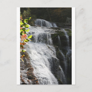 Carte Postale Bald River Falls-Tellico Plains, TN