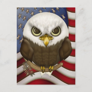 Carte Postale Baldwin Le mignon Aigle Bald