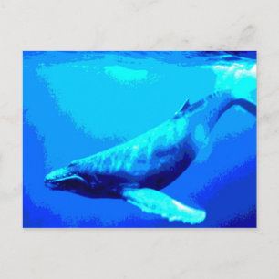 Carte Postale Baleine à bosse