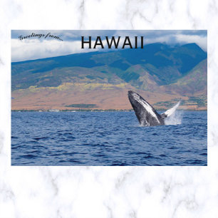 Carte Postale Baleine à bosse faisant une cabriole à Lahaina Haw