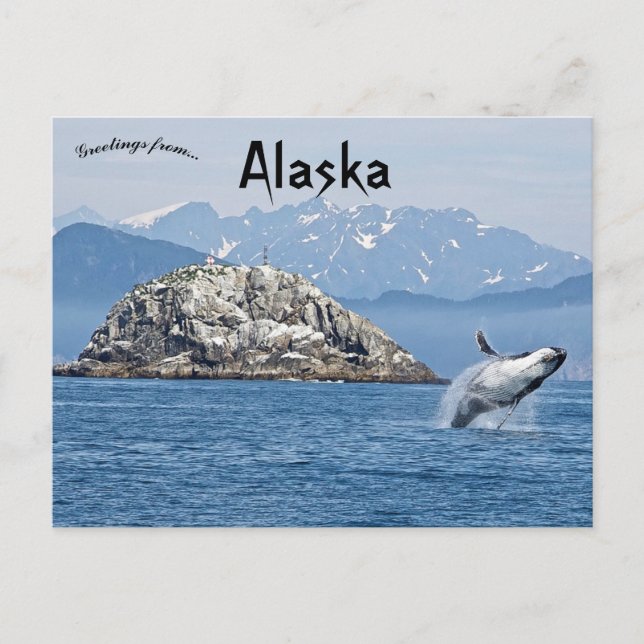 Carte Postale Baleine à bosse Parc national Kenai Fjords Alaska (Devant)