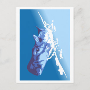 Carte Postale Baleine bleue