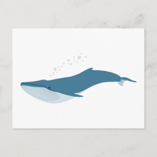 Carte Postale Baleine bleue