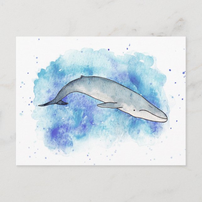 Carte Postale Baleine bleue profonde (Devant)