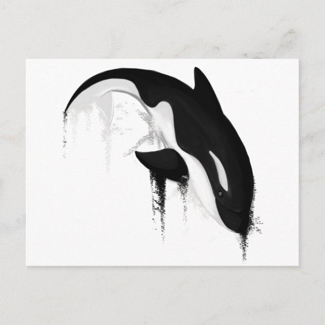 Carte Postale Baleine tueuse Orca par Crem (Devant)