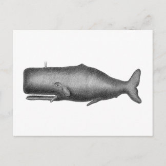 Carte Postale Baleine vintage