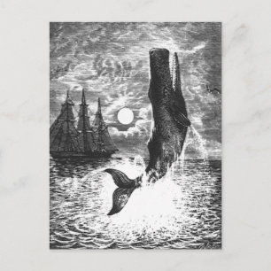 Carte Postale Baleine vintage, Vie Marine Animaux