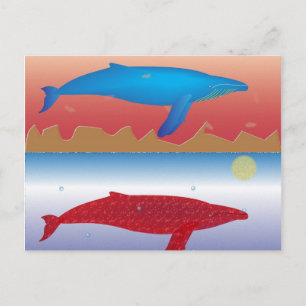 Carte postale baleines