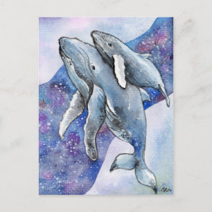 Carte Postale Baleines dans Star River