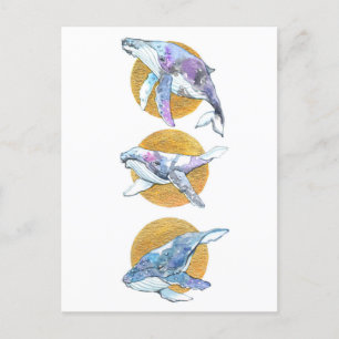 Carte Postale Baleines Trio Flotter et Dream B