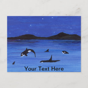 Carte Postale Baleines tueuses