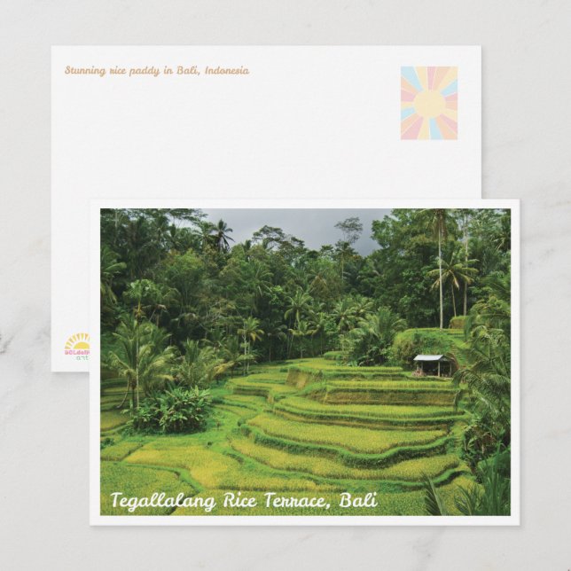 Carte Postale Bali Rice Terraces Scenic Travel Postcard (Devant / Derrière)