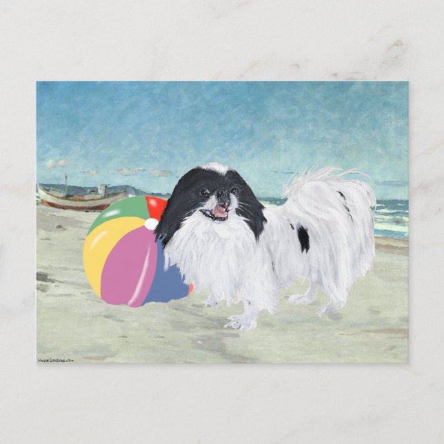 Carte Postale Balle de Plage Japanese Chin (Devant)