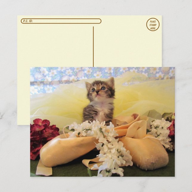 Carte postale Ballerina Kate Cat / Kitten (Devant / Derrière)