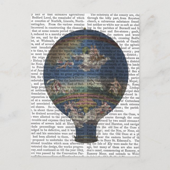 Carte Postale Ballon à air chaud de la machine Solaire (Devant)