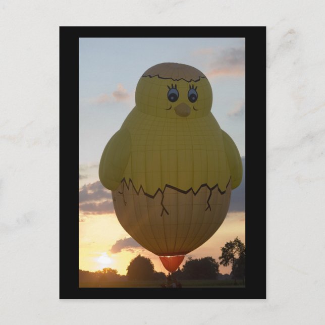 Carte Postale Balloon kuiken2 (Devant)