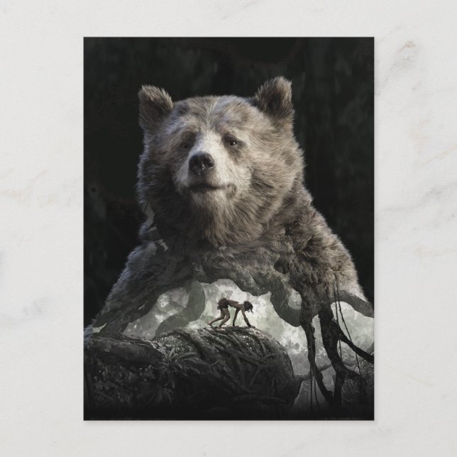 Carte Postale Baloo & Mowgli | Le livre de la jungle (Devant)